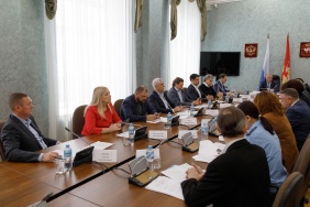 Заседание комитета по законодательству, государственному строительству и местному самоуправлению