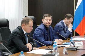 Заседание комитета по промышленной политике