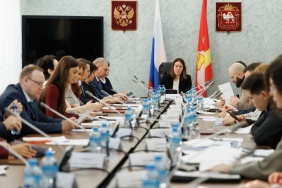 Заседание комитета Законодательного Собрания по социальной политике