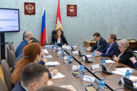 Заседание комитета Законодательного Собрания по социальной политике